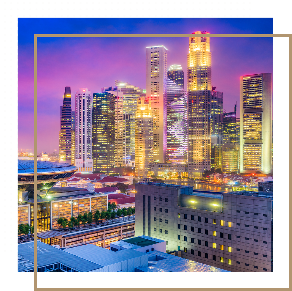 Singwave-Our Services